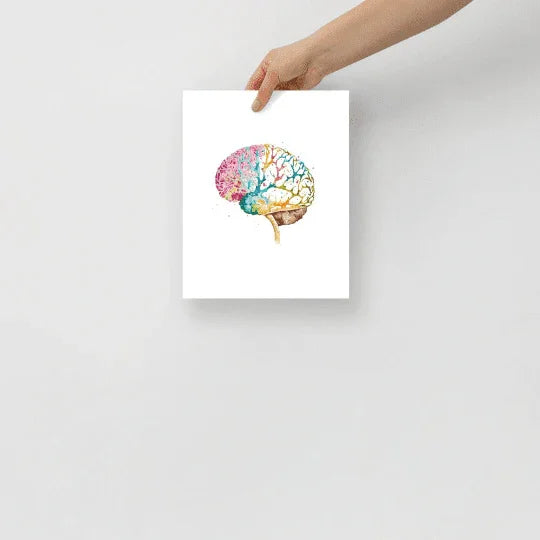 Colorburst Brain - Poster - Brain Watercolour Style Print Art _ Poster _ SolisSleep _ biology gift, Brain, Brain anatomy, Brain design, Brain study aid, cells, Colorful wall art, neurology, Neurons, Neuroscience, Neuroscience poster, Psychology art, Science decor, Unique gift idea