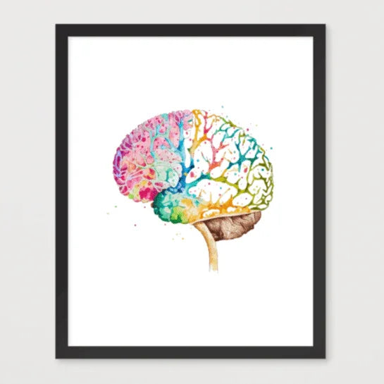 Colorburst Brain - Poster - Brain Watercolour Style Print Art _ Poster _ SolisSleep _ biology gift, Brain, Brain anatomy, Brain design, Brain study aid, cells, Colorful wall art, neurology, Neurons, Neuroscience, Neuroscience poster, Psychology art, Science decor, Unique gift idea