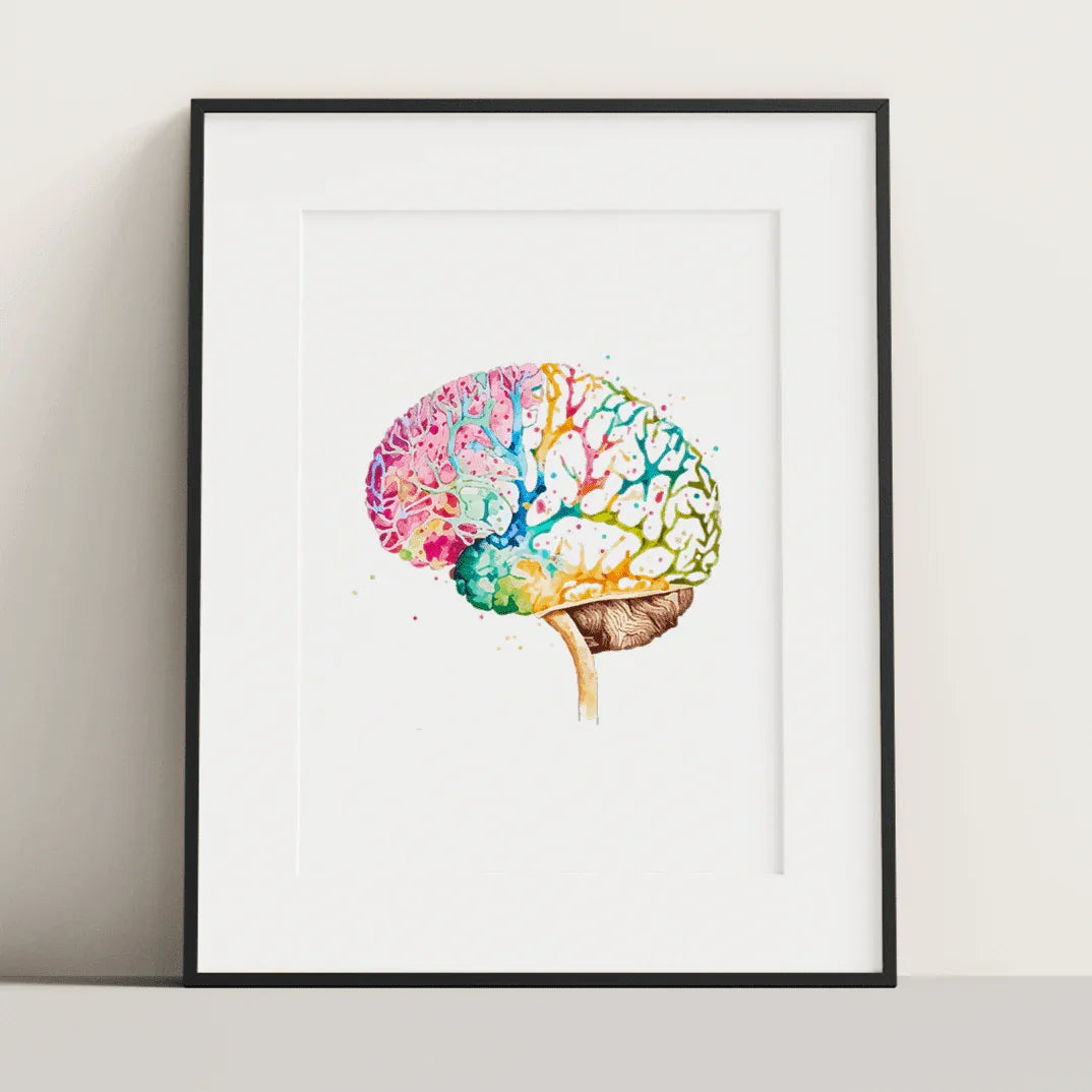 Colorburst Brain - Poster - Brain Watercolour Style Print Art _ Poster _ SolisSleep _ biology gift, Brain, Brain anatomy, Brain design, Brain study aid, cells, Colorful wall art, neurology, Neurons, Neuroscience, Neuroscience poster, Psychology art, Science decor, Unique gift idea