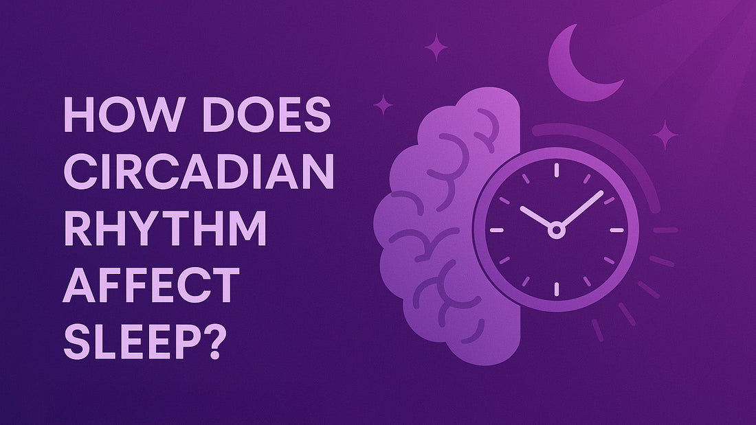 How Does Circadian Rhythm Affect Sleep? - BioBrainBuddies