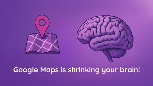 Is Google Maps Shrinking Your Hippocampus? The Neuroscience of Navigation - BioBrainBuddies