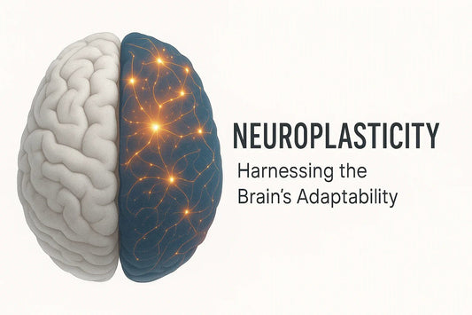 Neuroplasticity: Unlocking the Brain’s Potential in 2025 - BioBrainBuddies