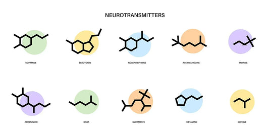 The Neurotransmitter Cheat Sheet: A Clear Guide to Your Brain’s Chemical Messengers - BioBrainBuddies