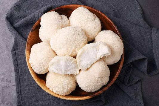 Unveiling the Neuroscientific Marvel of Lion's Mane Mushroom - SolisSleep