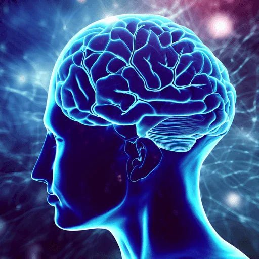 Why We Love the Brain: Exploring the Fascinating World of Neuroscience - BioBrainBuddies