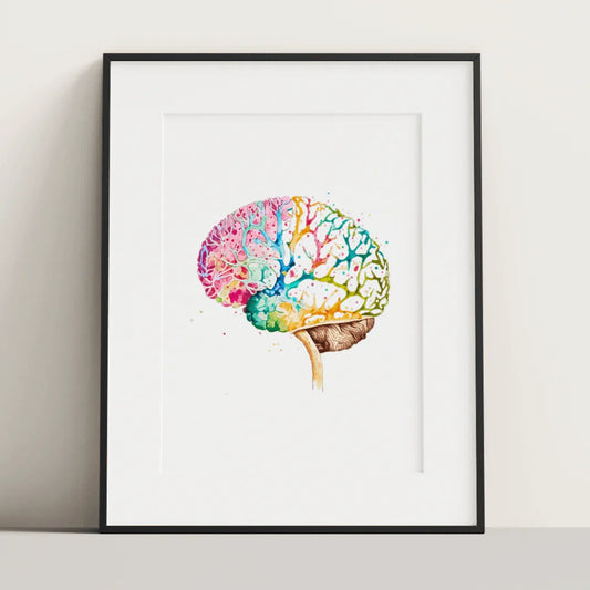 Colorburst Brain - Poster - Brain Watercolour Style Print Art _ Poster _ SolisSleep _ biology gift, Brain, Brain anatomy, Brain design, Brain study aid, cells, Colorful wall art, neurology, Neurons, Neuroscience, Neuroscience poster, Psychology art, Science decor, Unique gift idea